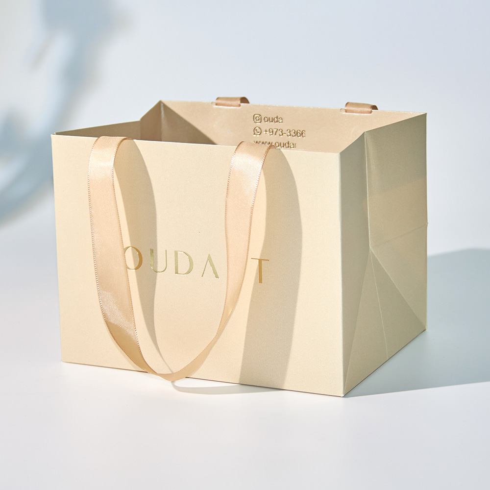 Wholesale Luxury Shoes Clothes Packing Paper Bags Printed Custom Logo Clothing Shopping Gift Jewelry Packaging Paper Bag - Image 2